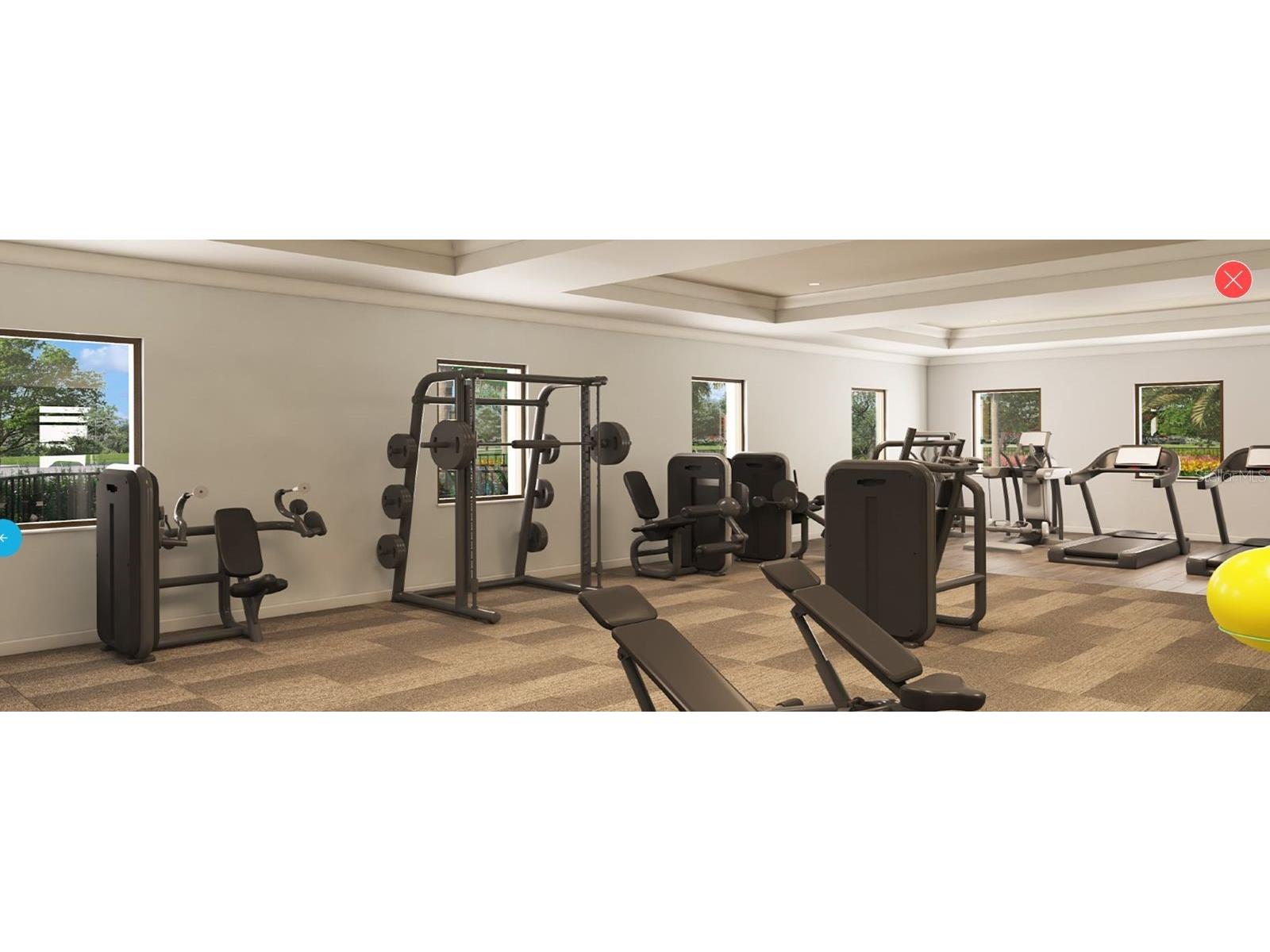 10540 Tribute Drive Winter Garden FL 34787 O6346155 image5