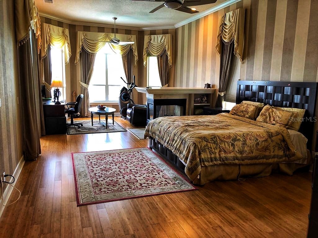 10541 Cory Lake Drive Tampa FL 33647 TB8520310 image12