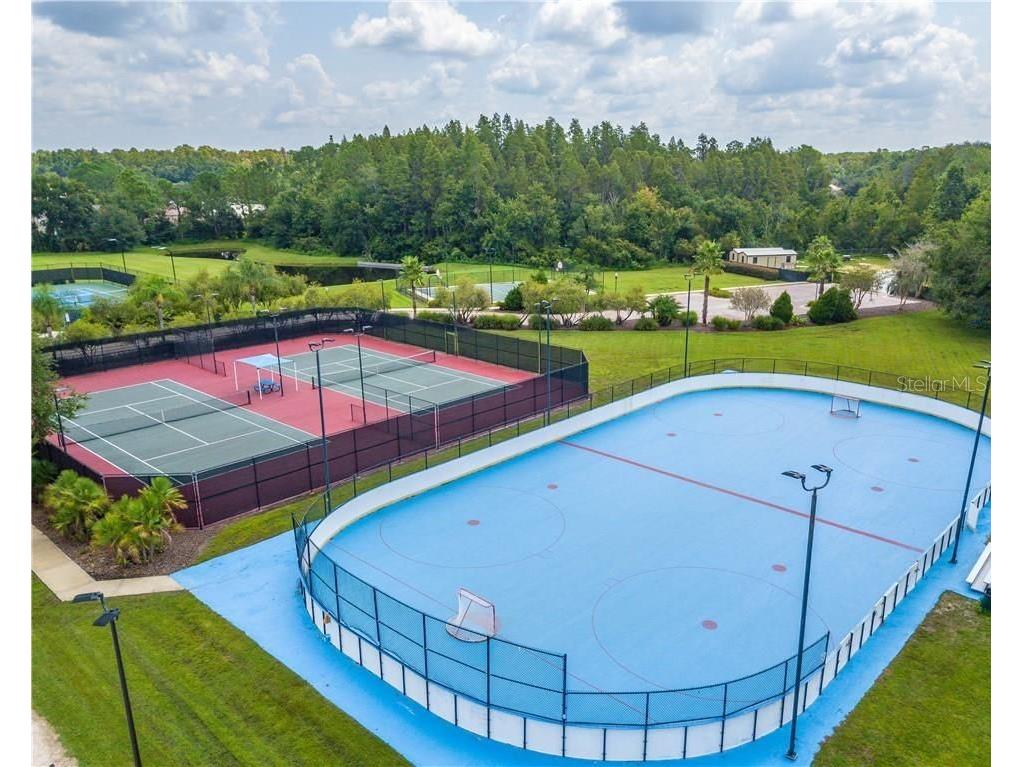 10541 Cory Lake Drive Tampa FL 33647 TB8520310 image17