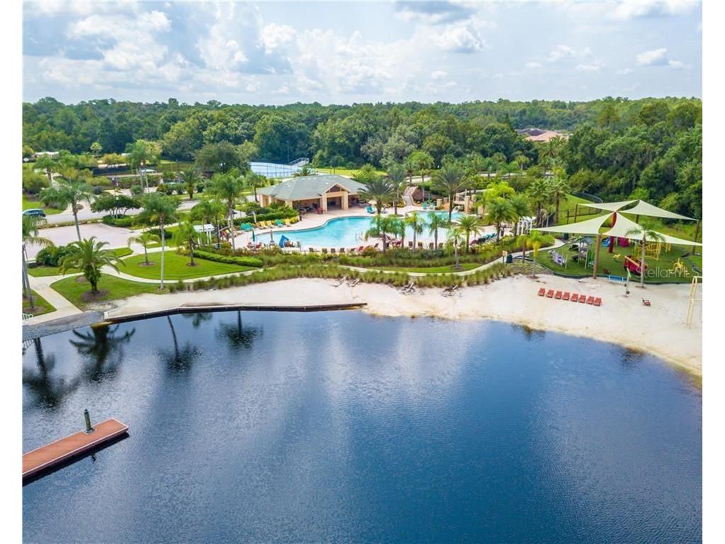 10541 Cory Lake Drive Tampa FL 33647 TB8520310 image23