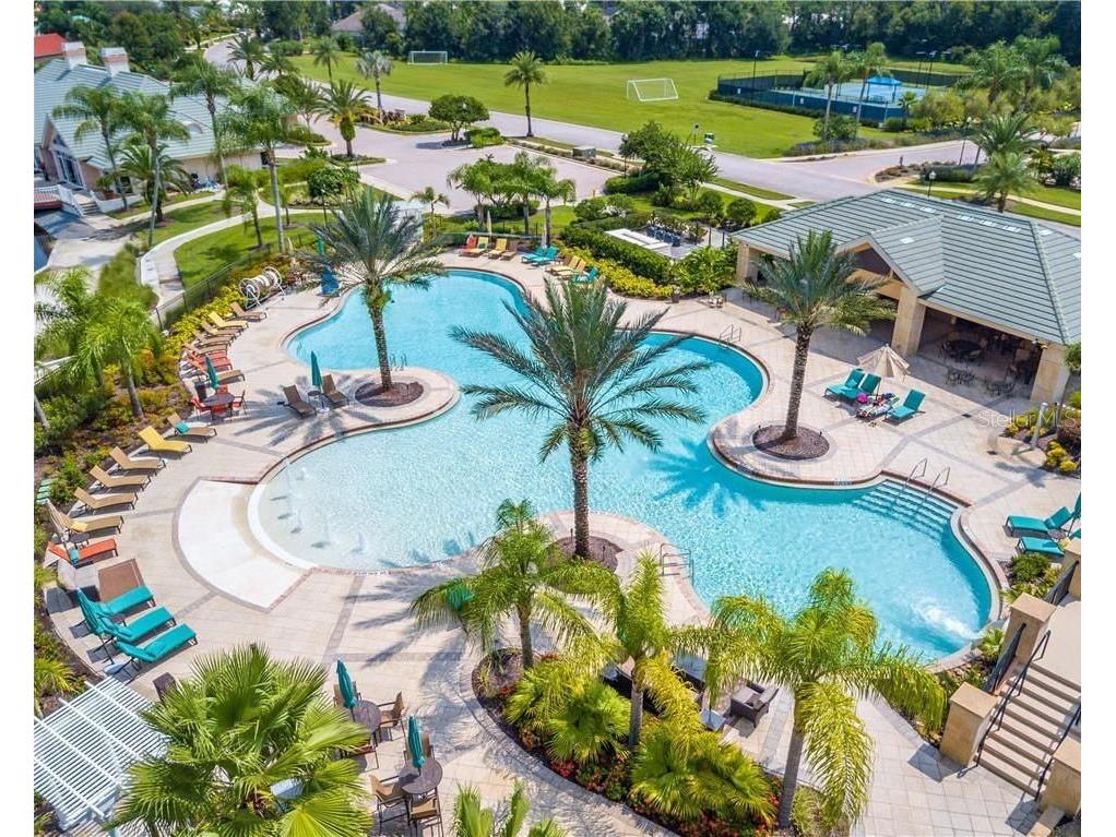 10541 Cory Lake Drive Tampa FL 33647 TB8520310 image25