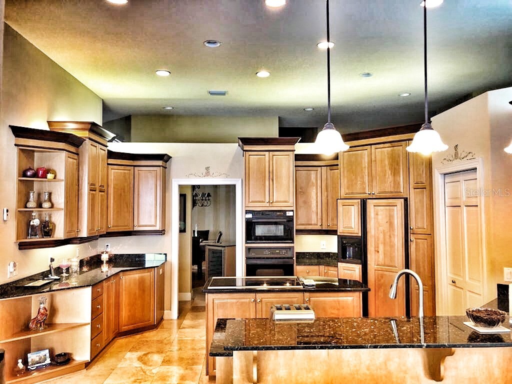 10541 Cory Lake Drive Tampa FL 33647 TB8520310 image7