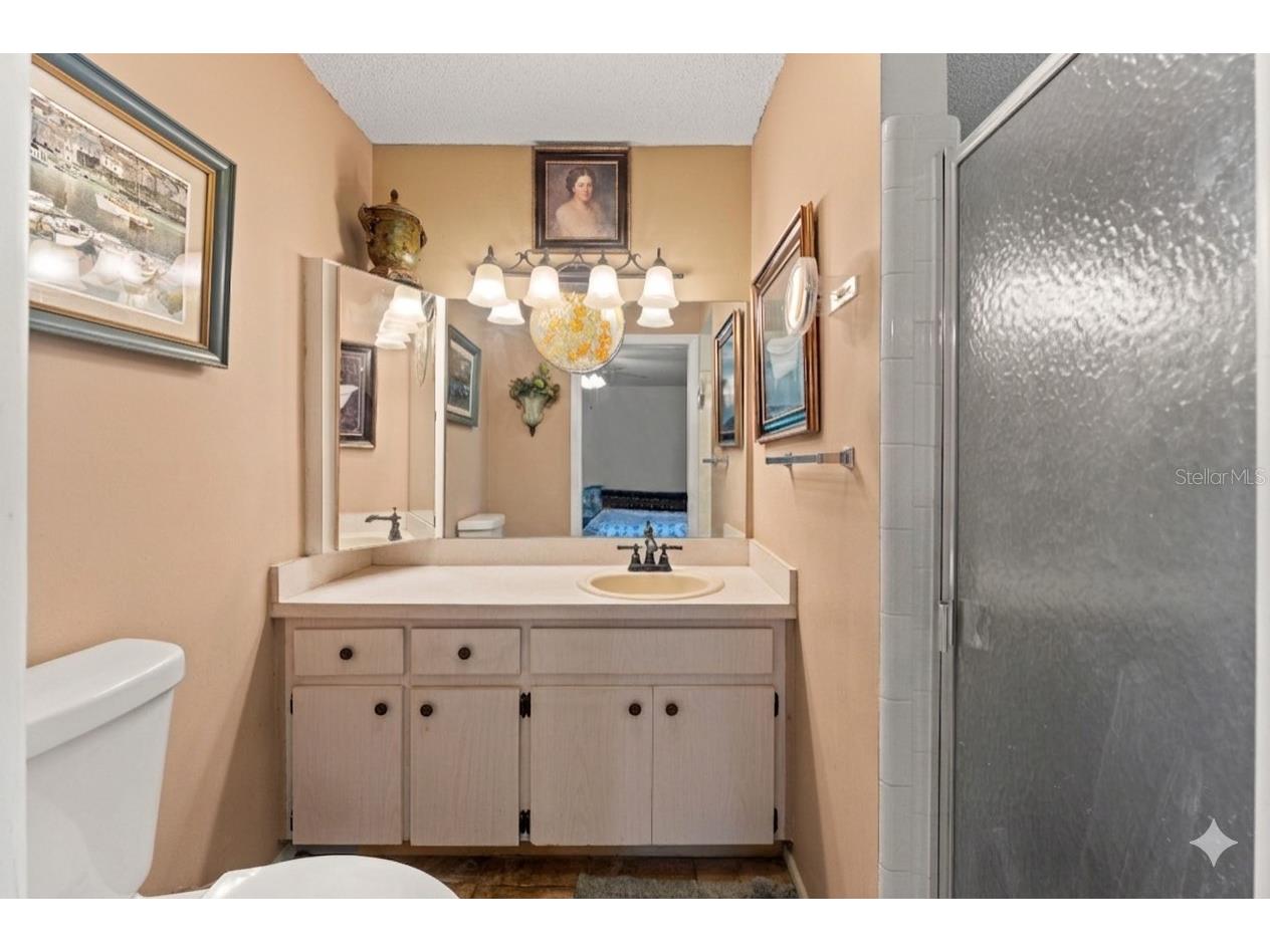 10541 Green Meadow Lane Port Richey FL 34668 W7885413 image22