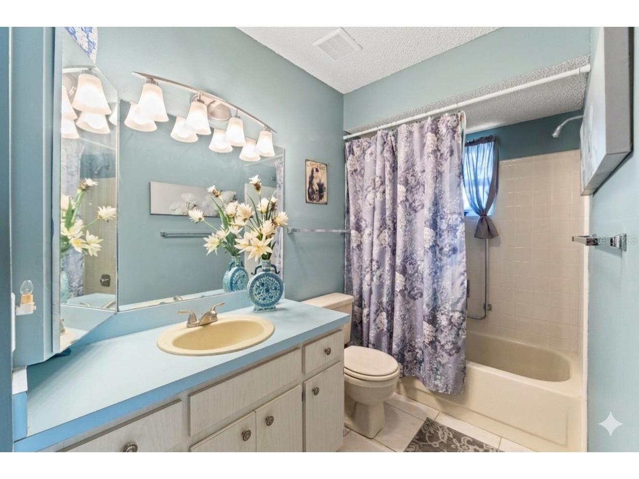 10541 Green Meadow Lane Port Richey FL 34668 W7885413 image28