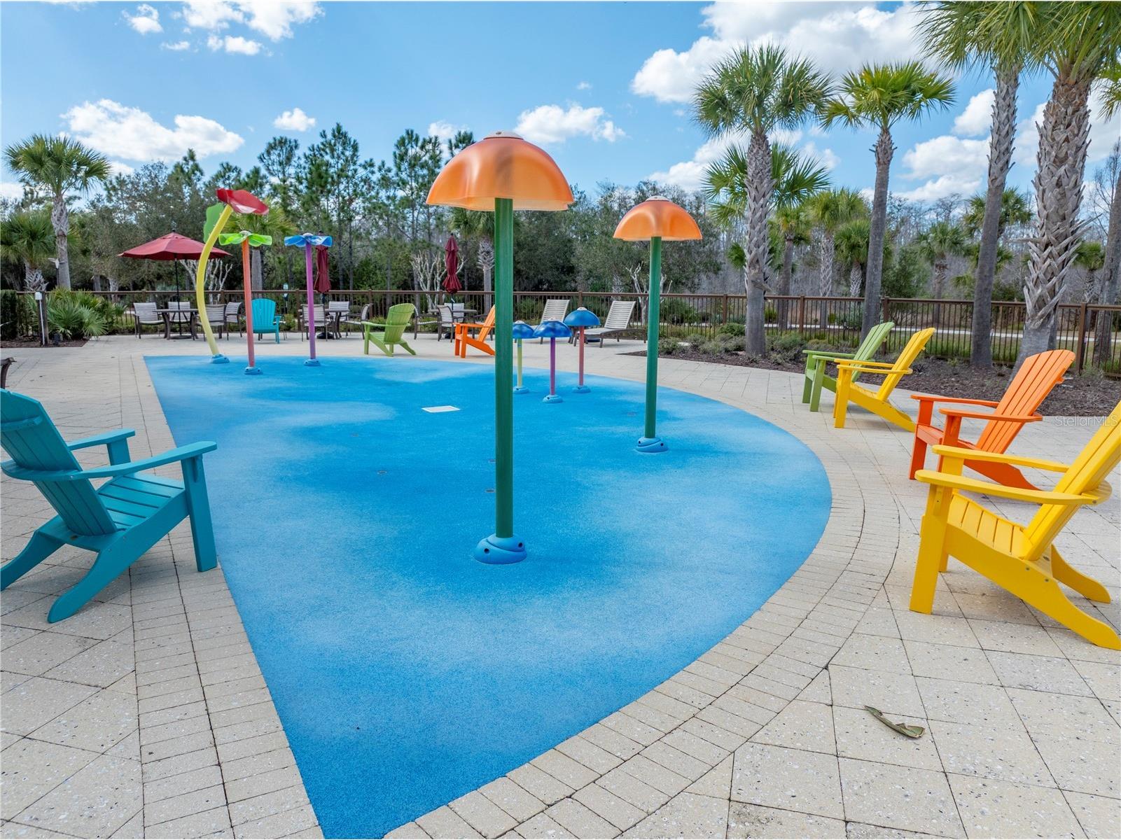 10542 Langefield Street Orlando FL 32832 O6385876 image46