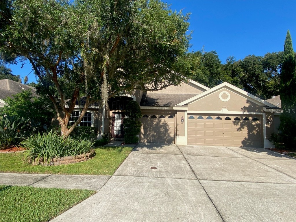 10542 San Travaso Drive Tampa FL 33647 T3520849 image1
