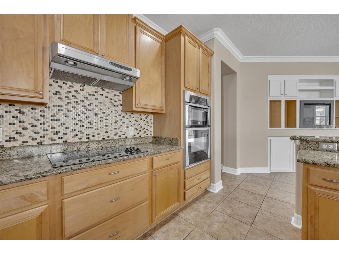 10543 Mere Parkway Orlando FL 32832 O6360756 image10