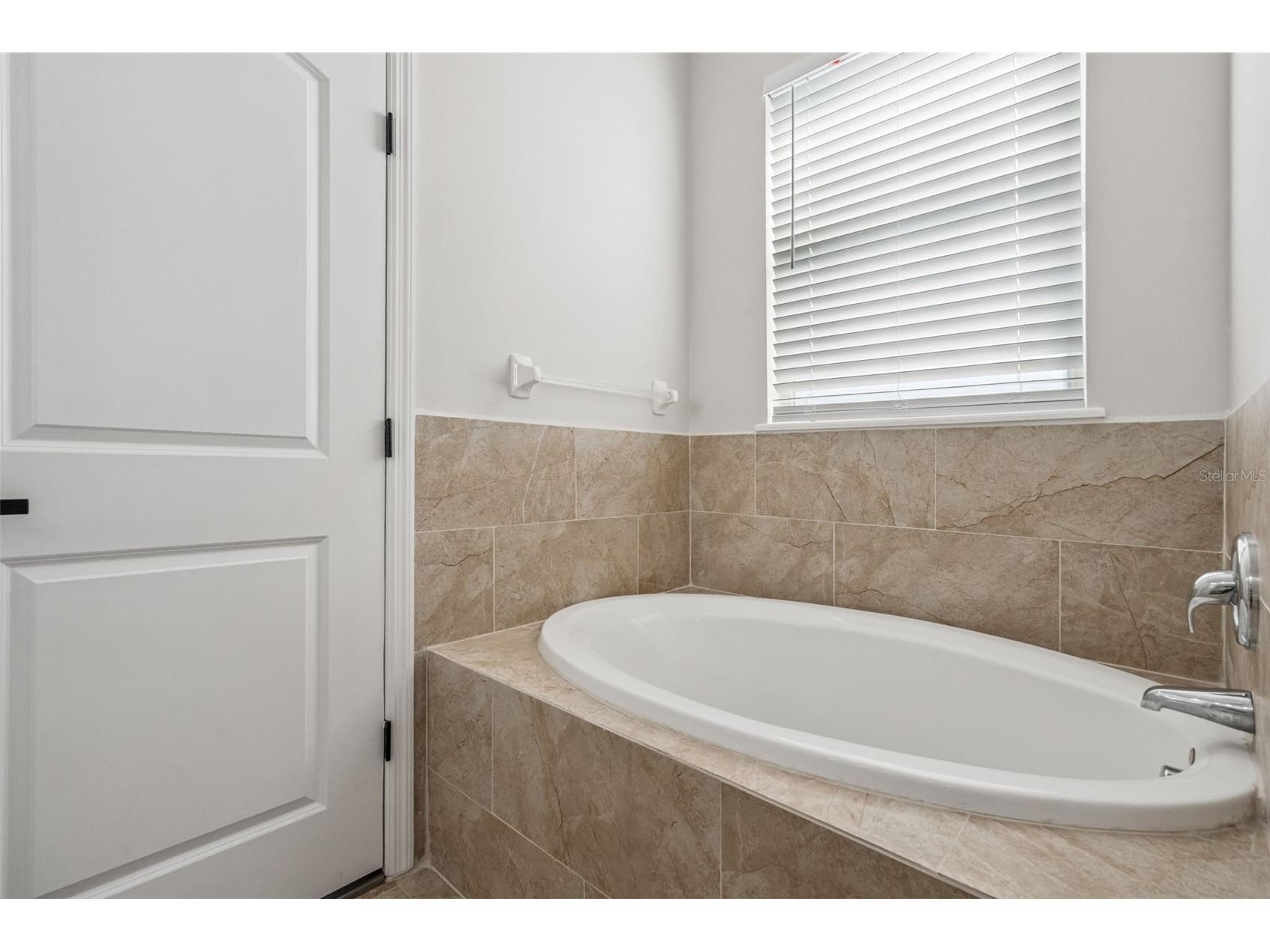 10544 Moss Rose Way Orlando FL 32832 O6370756 image16