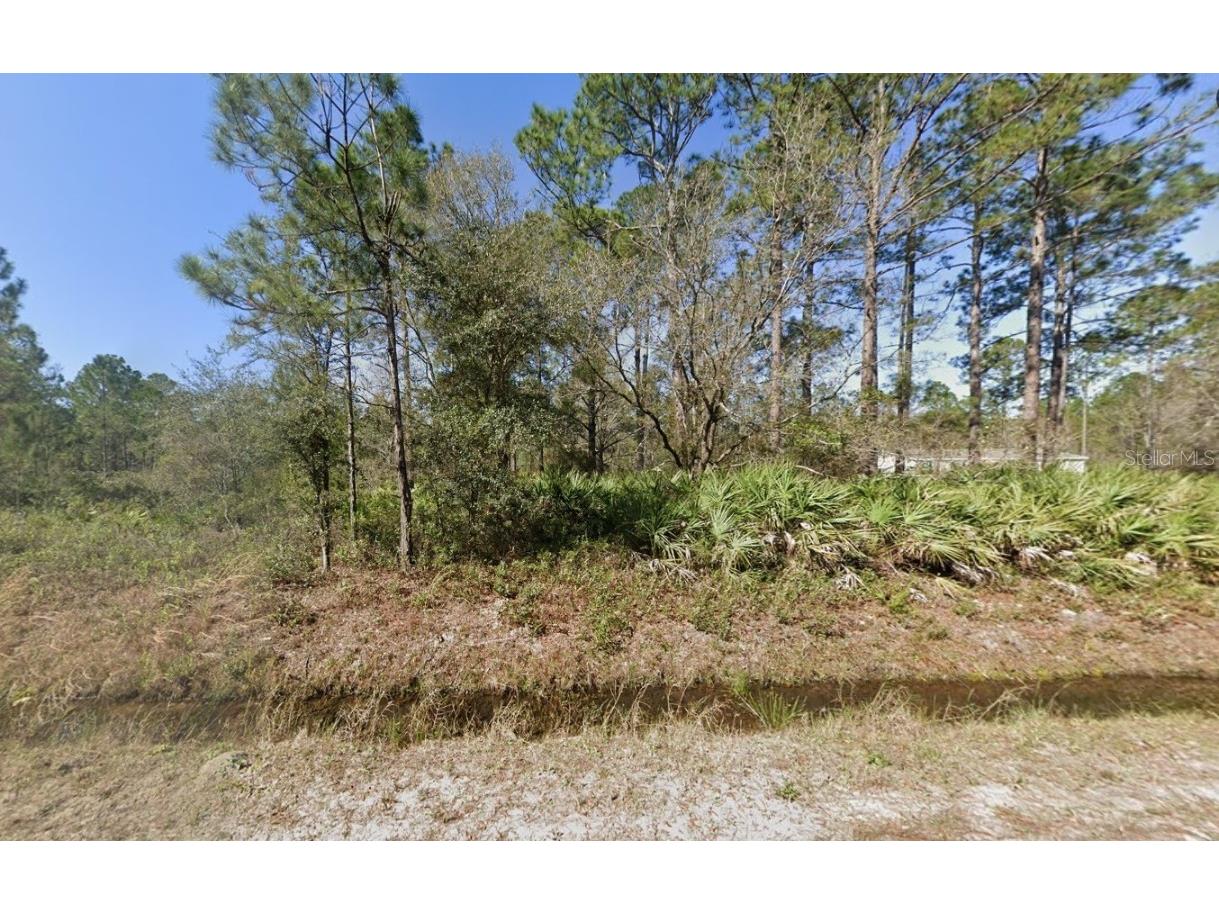 10545 Beckenger Avenue Hastings FL 32145 OK224796 image1