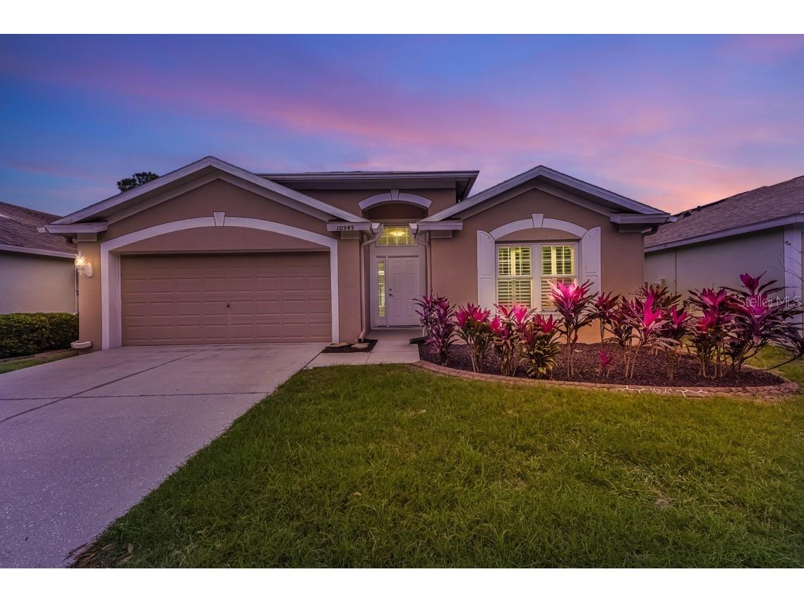 10545 Egret Haven Lane Riverview FL 33578 T3496502 image1