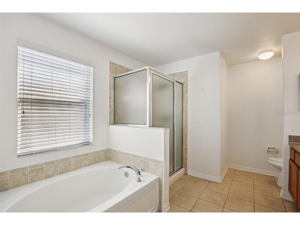 10545 Shady Falls Court Riverview FL 33578 TB8448897 image11