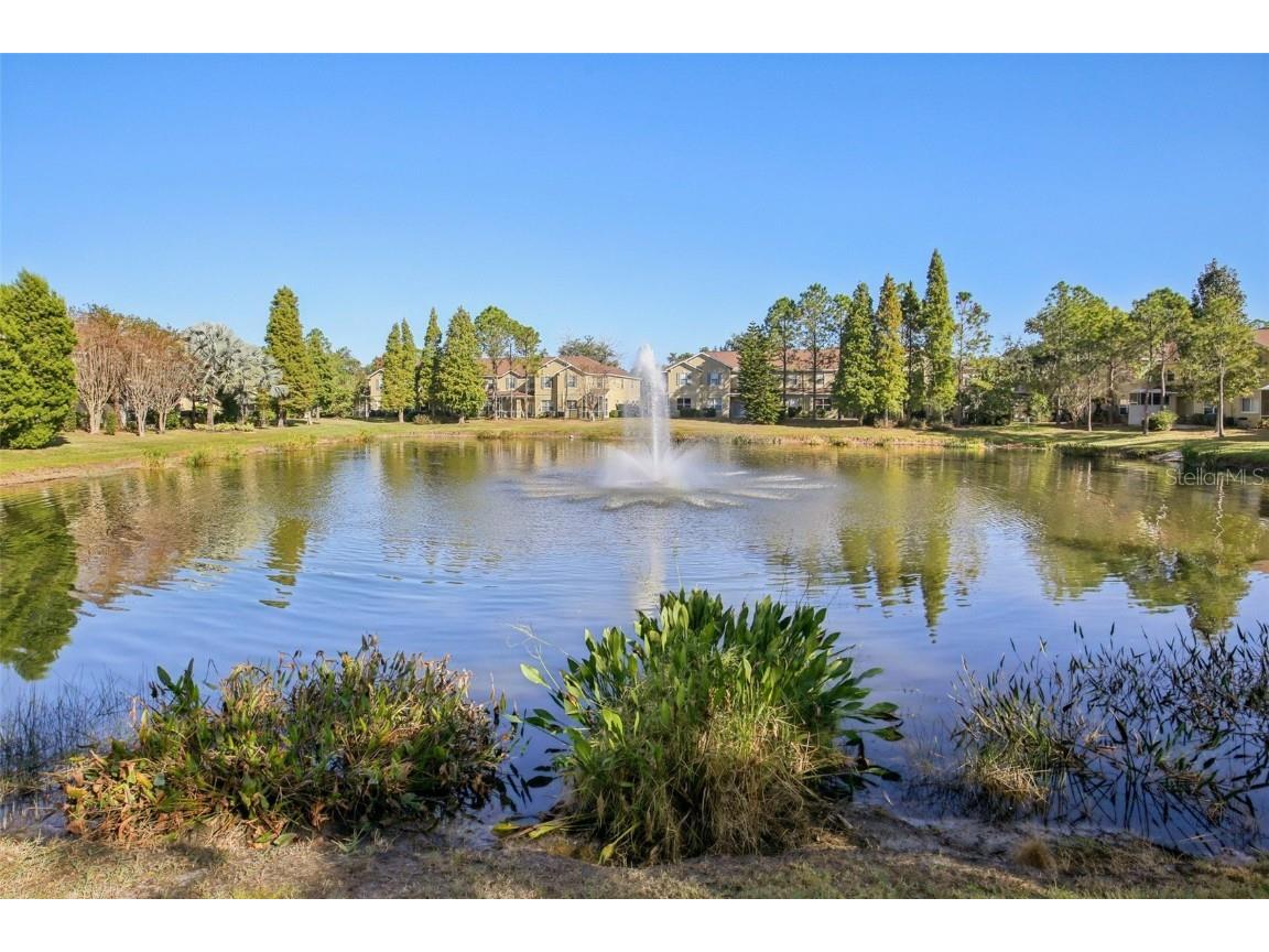 10545 Shady Falls Court Riverview FL 33578 TB8448897 image31