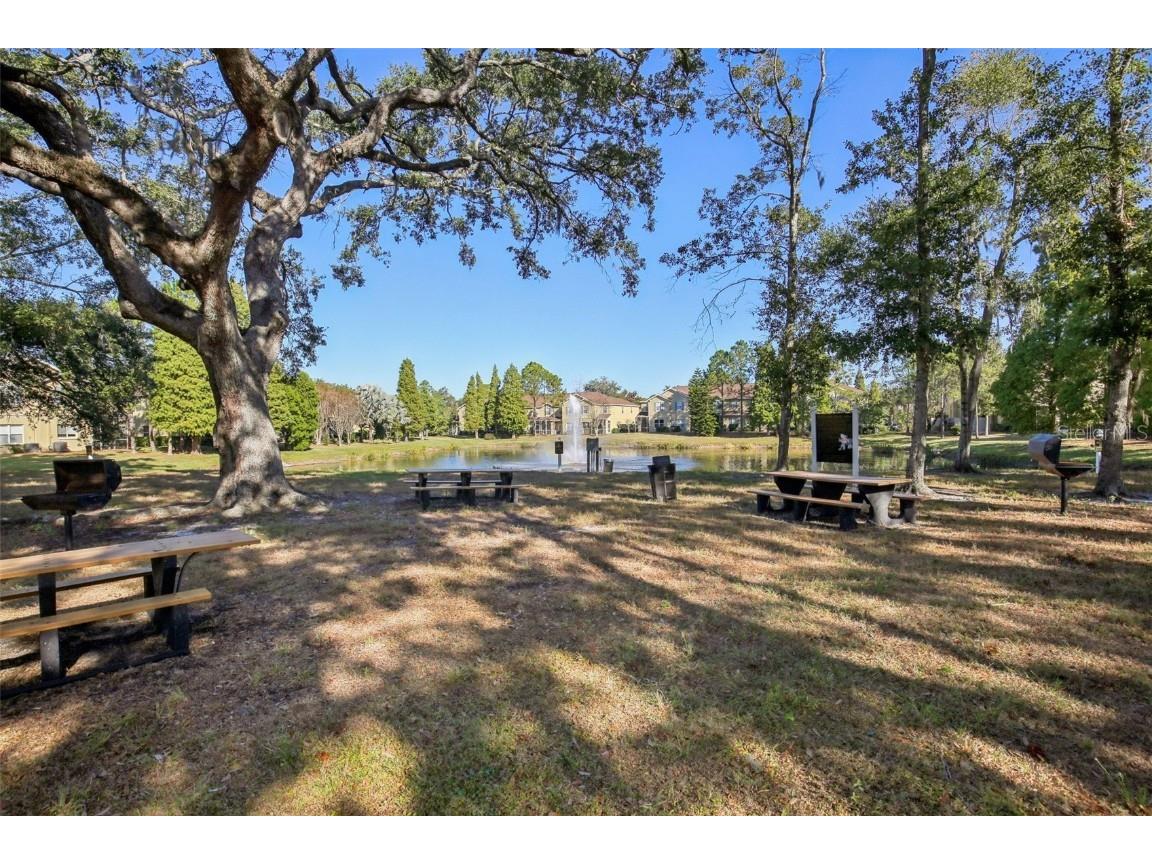 10545 Shady Falls Court Riverview FL 33578 TB8448897 image33