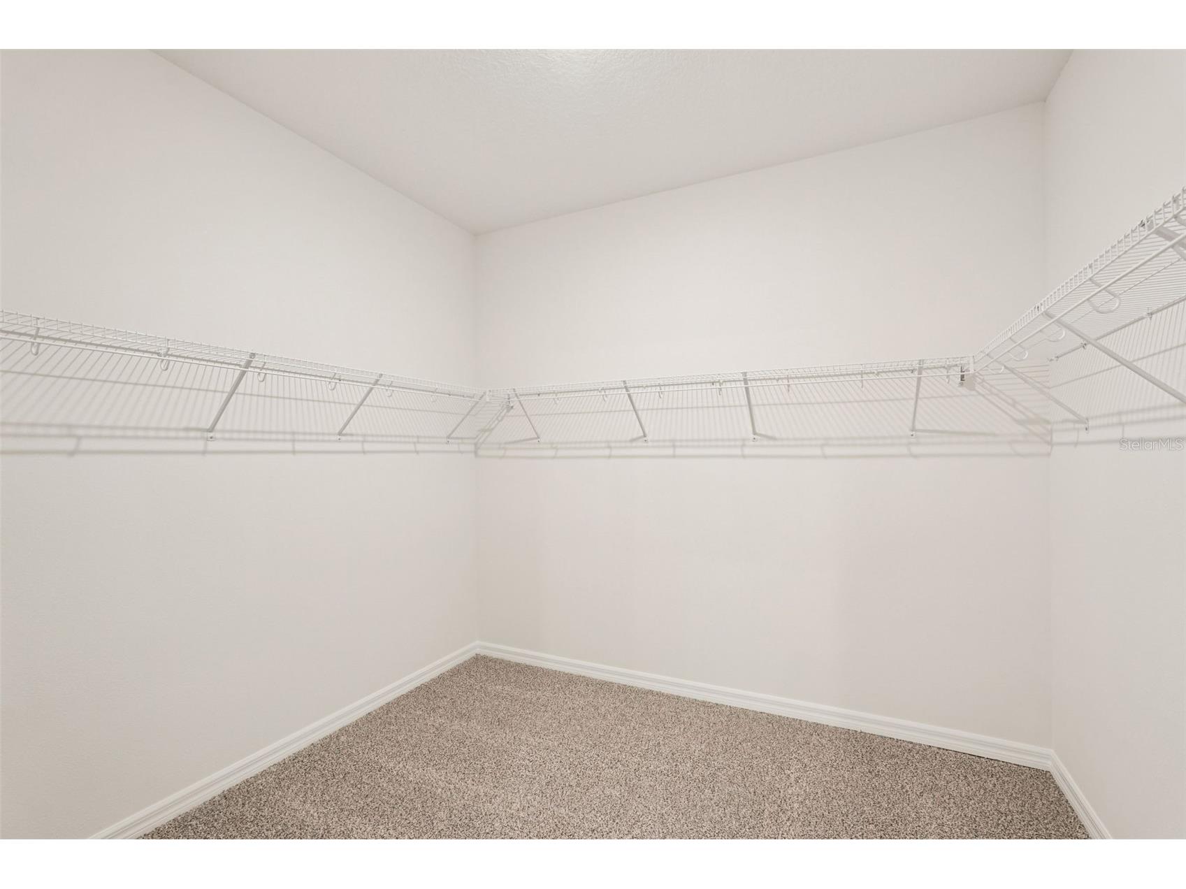 10546 Abundance Grove Way Parrish FL 34219 TB8427280 image49