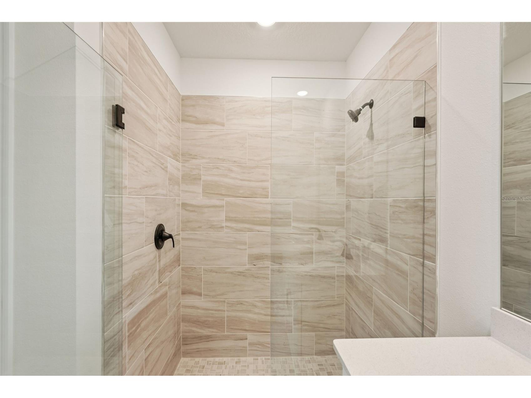 10547 Abundance Grove Way Parrish FL 34219 TB8427276 image38