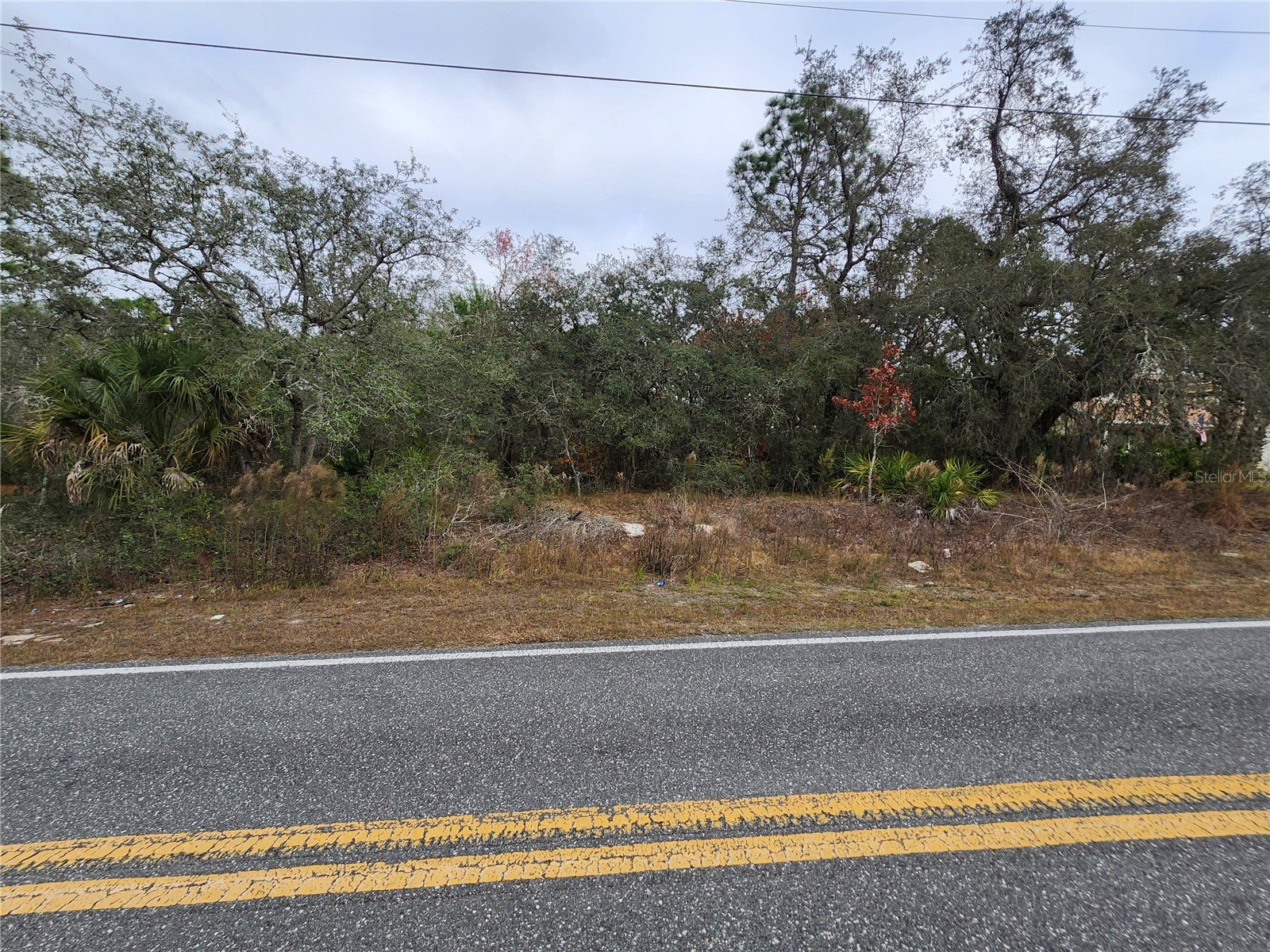 10548 Noddy Tern Road Weeki Wachee FL 34613 W7884653 image1