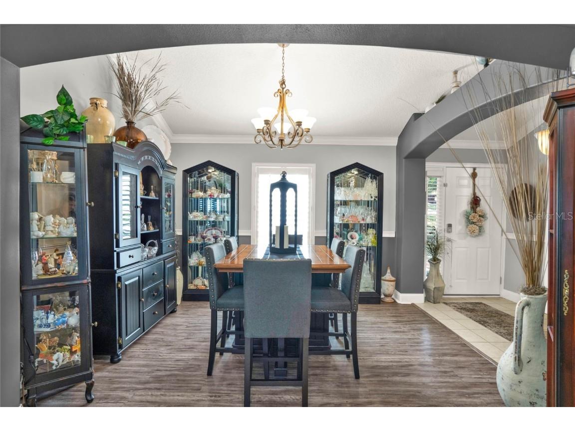 10549 Via De Robina Court Clermont FL 34711 - RALPH LAKE/CRESCENT LAKE O6294712 image11