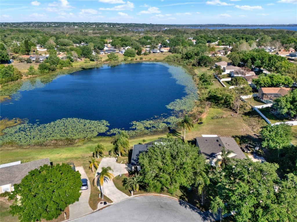 10549 Via De Robina Court Clermont FL 34711 - RALPH LAKE/CRESCENT LAKE O6294712 image46