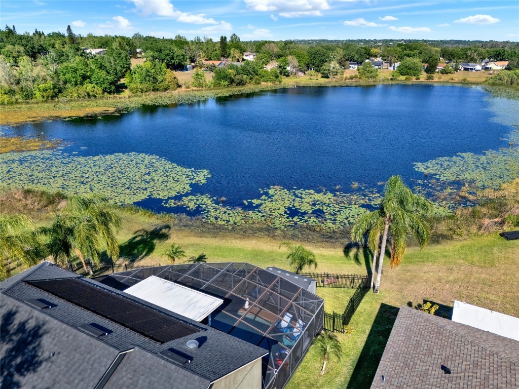 10549 Via De Robina Court Clermont FL 34711 - RALPH LAKE/CRESCENT LAKE O6294712 image49