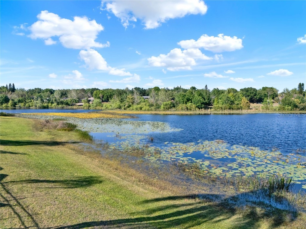 10549 Via De Robina Court Clermont FL 34711 - RALPH LAKE/CRESCENT LAKE O6294712 image58