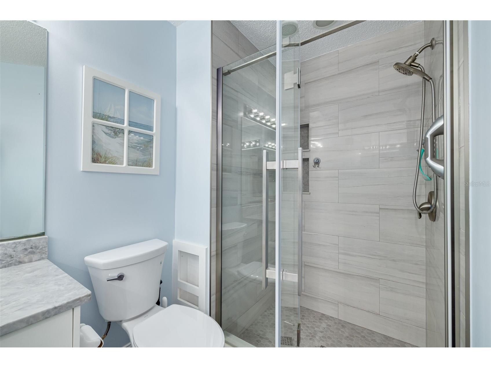 1055 Blyth Hill Court Trinity FL 34655 TB8420686 image16