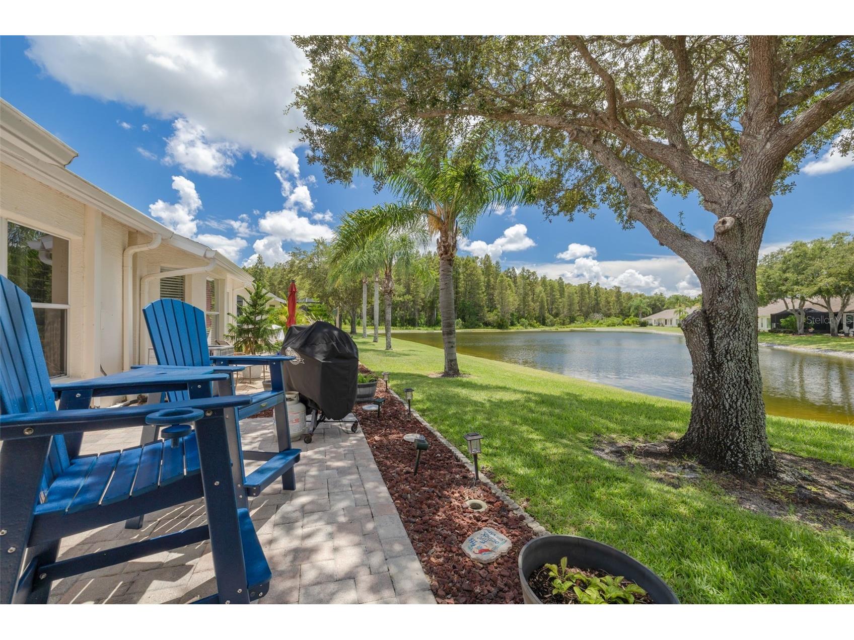 1055 Blyth Hill Court Trinity FL 34655 TB8420686 image24