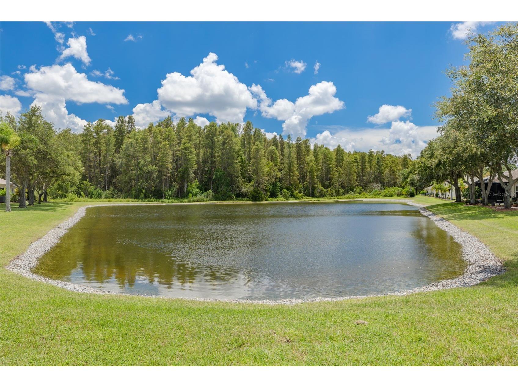 1055 Blyth Hill Court Trinity FL 34655 TB8420686 image29