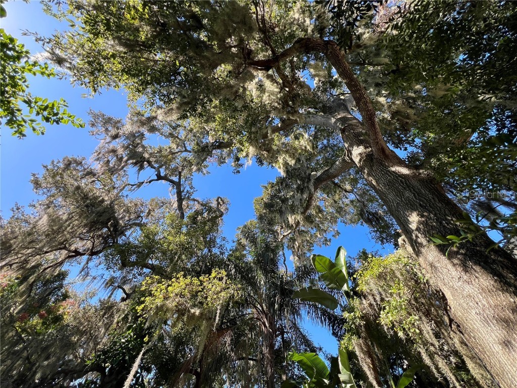 1055 Cherokee Avenue Winter Park FL 32789 O6360540 image42