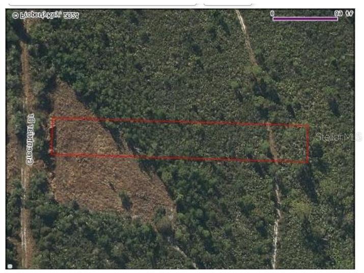 1055 Greenbriar Drive Christmas FL 32709 O6200065 image2