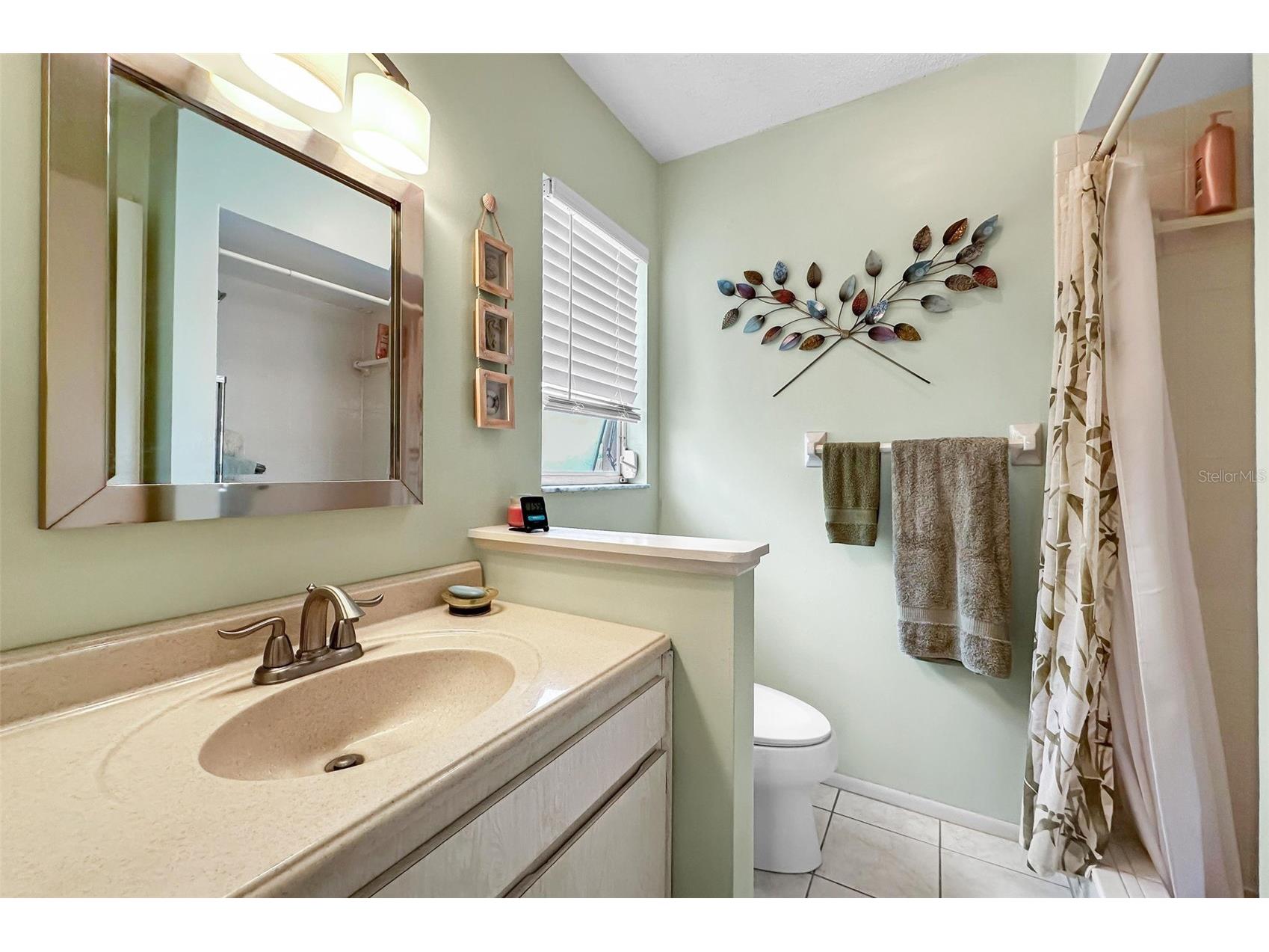 1055 Loch Haven Drive S Dunedin FL 34698 TB8481862 image24