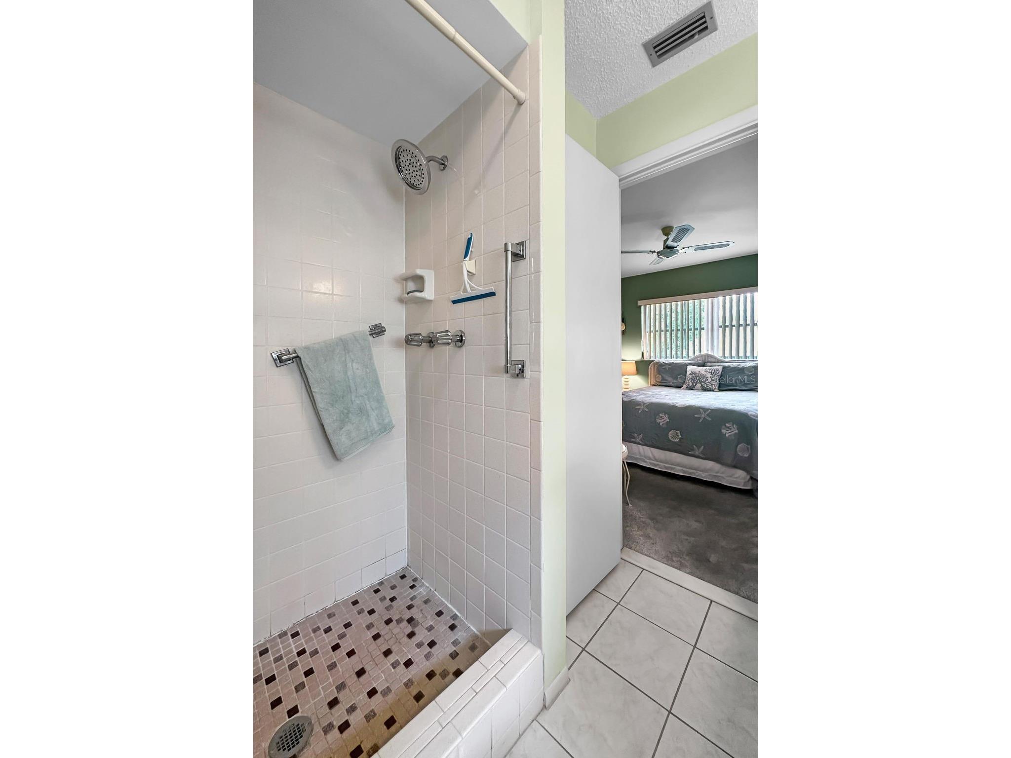 1055 Loch Haven Drive S Dunedin FL 34698 TB8481862 image25