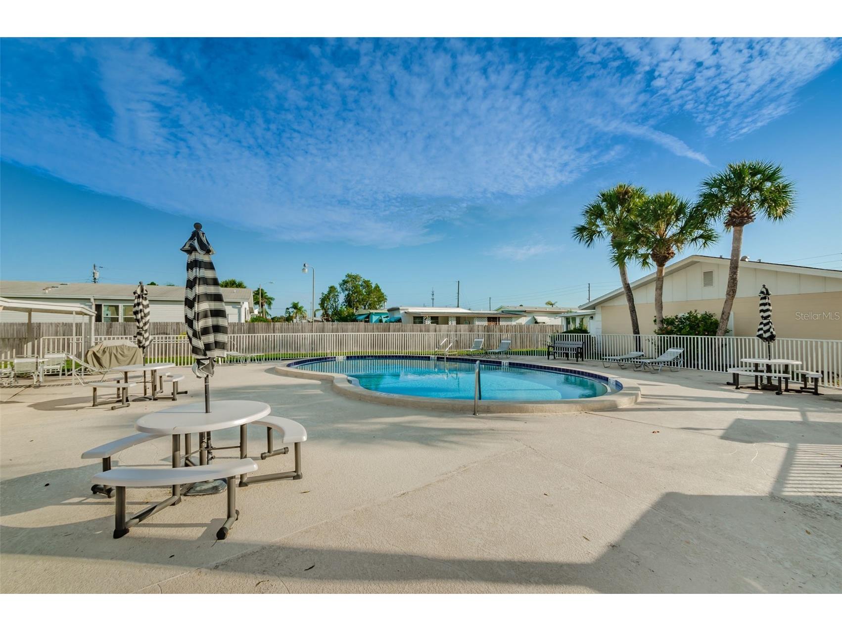 1055 Loch Haven Drive S Dunedin FL 34698 TB8481862 image40