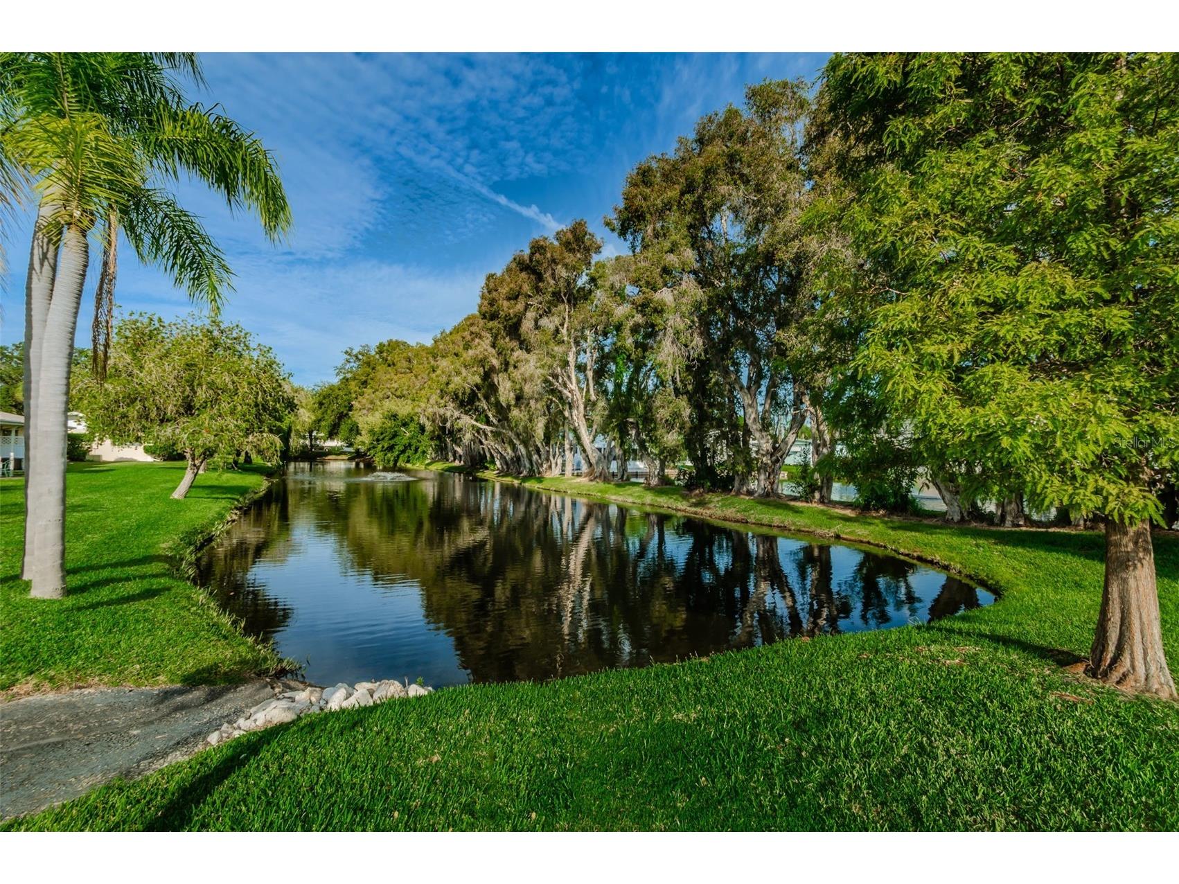 1055 Loch Haven Drive S Dunedin FL 34698 TB8481862 image50