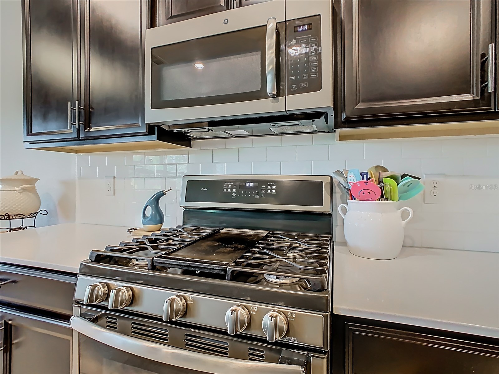 1055 Oak Bluff Drive Davenport FL 33837 S5143601 image14