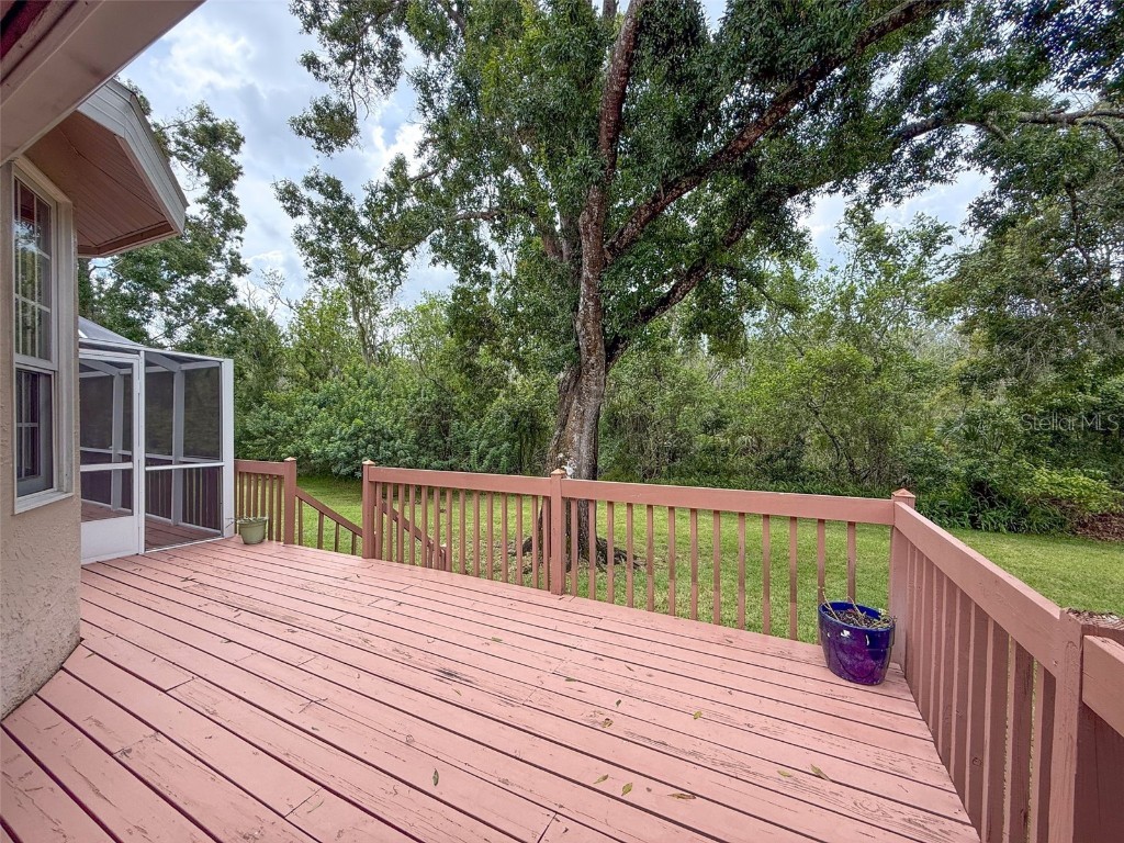 1055 Riverside Ridge Road Tarpon Springs FL 34688 W7878035 image41