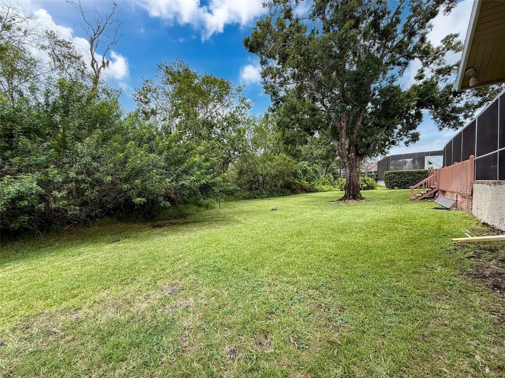 1055 Riverside Ridge Road Tarpon Springs FL 34688 W7878035 image44