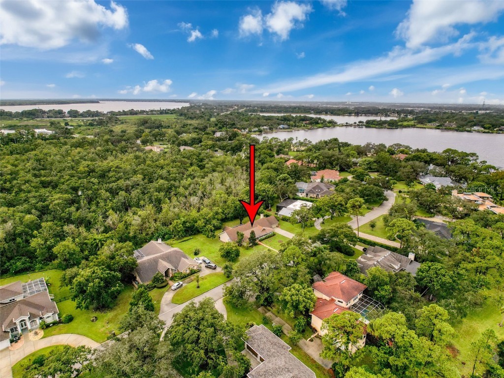 1055 Riverside Ridge Road Tarpon Springs FL 34688 W7878035 image48