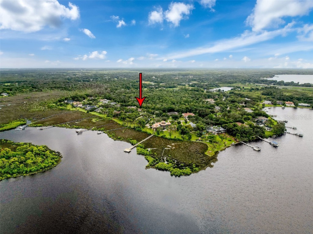 1055 Riverside Ridge Road Tarpon Springs FL 34688 W7878035 image50