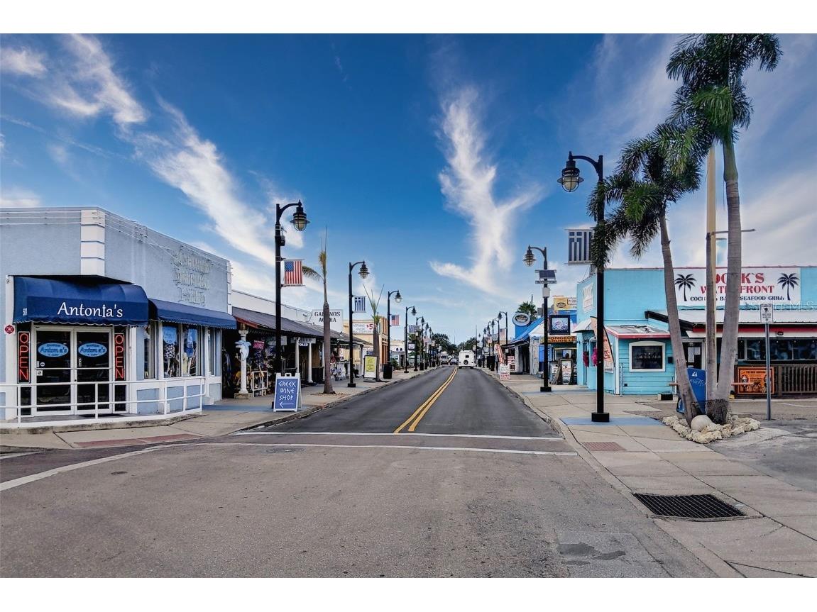 1055 Riverside Ridge Road Tarpon Springs FL 34688 W7878035 image54