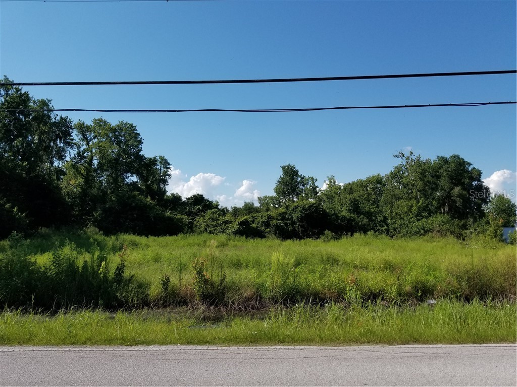 10550 Bill Tucker Road Wimauma FL 33598 T3259931 image1