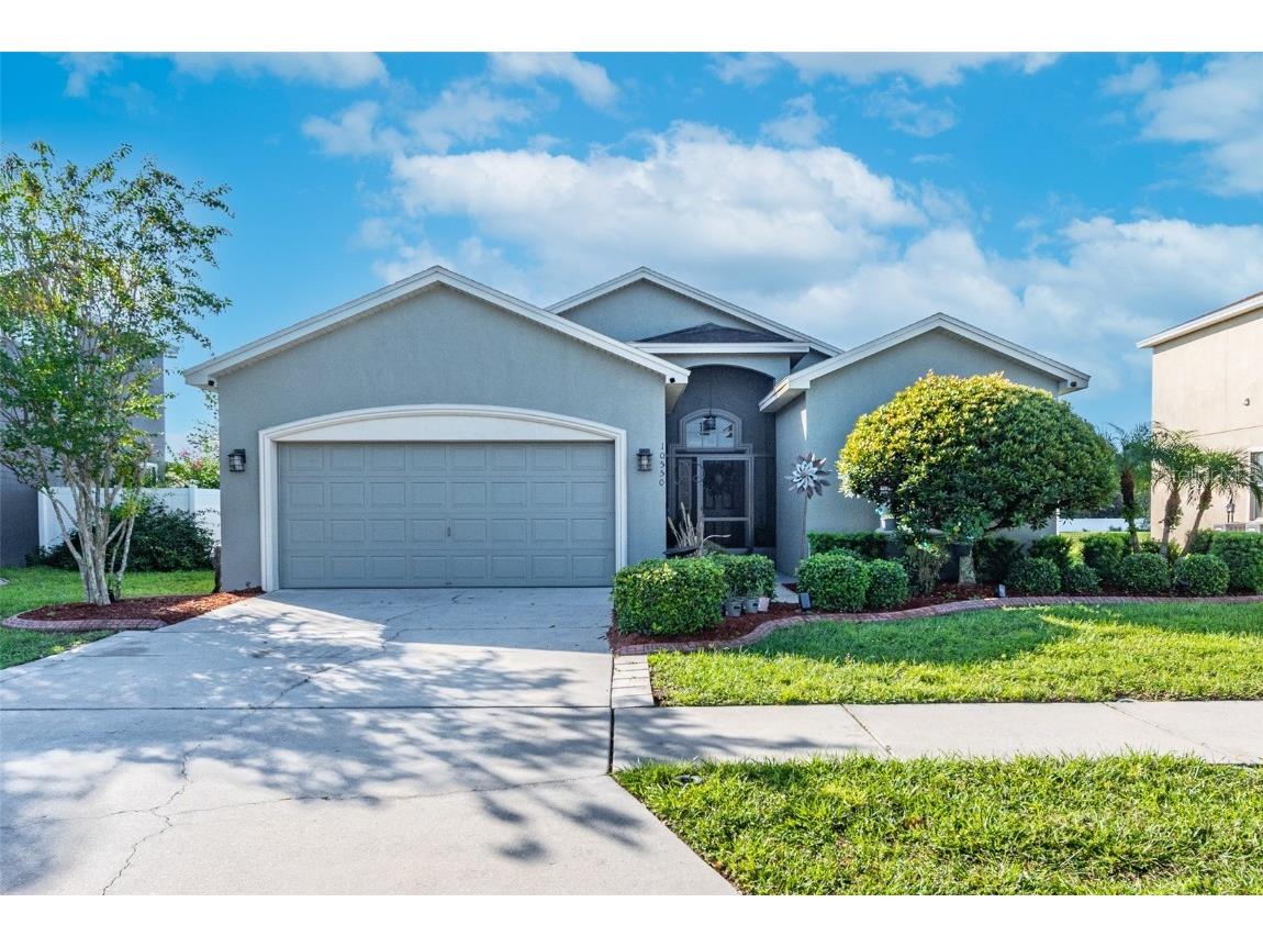 10550 Carloway Hills Drive Wimauma FL 33598 T3471591 image1