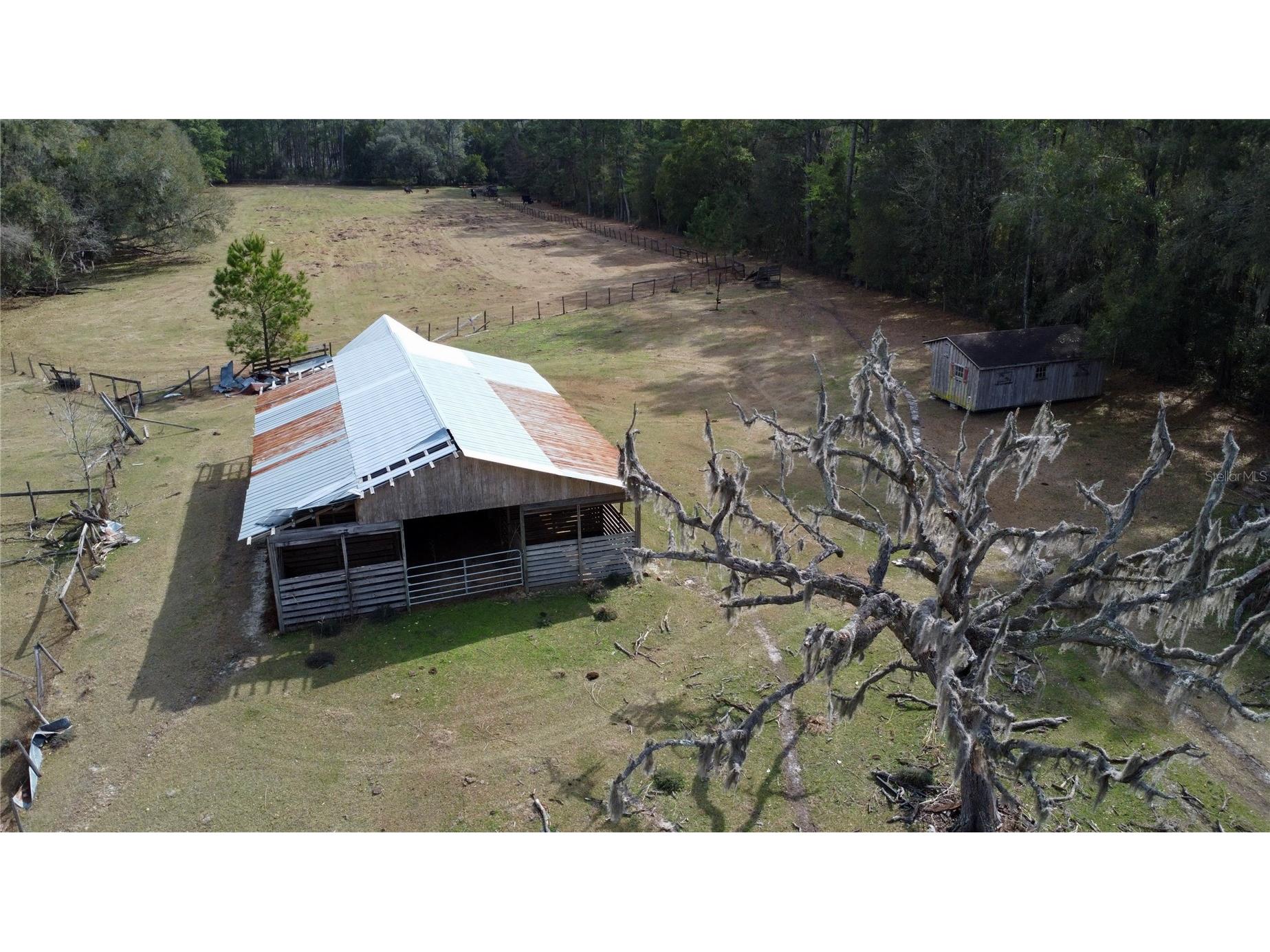 10550 NW 115th Avenue Reddick FL 32686 OM719700 image9