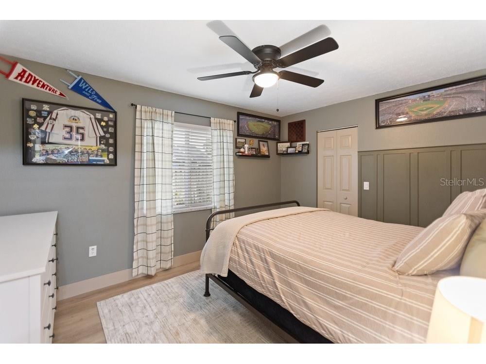 10551 Magrath Lane New Port Richey FL 34654 W7887776 image21