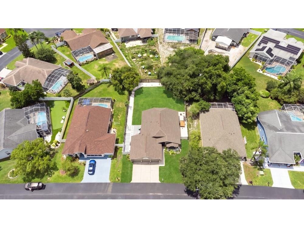 10551 Magrath Lane New Port Richey FL 34654 W7887776 image3