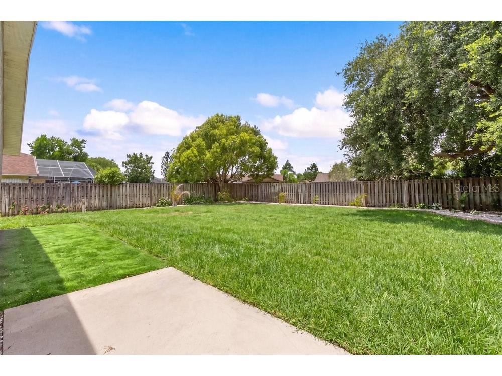 10551 Magrath Lane New Port Richey FL 34654 W7887776 image31