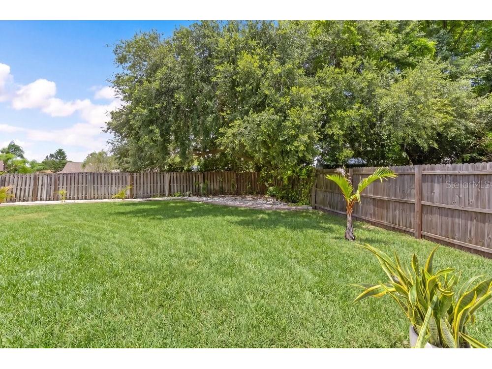 10551 Magrath Lane New Port Richey FL 34654 W7887776 image34
