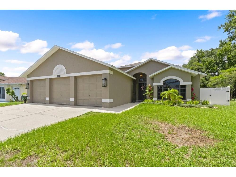 10551 Magrath Lane New Port Richey FL 34654 W7887776 image36