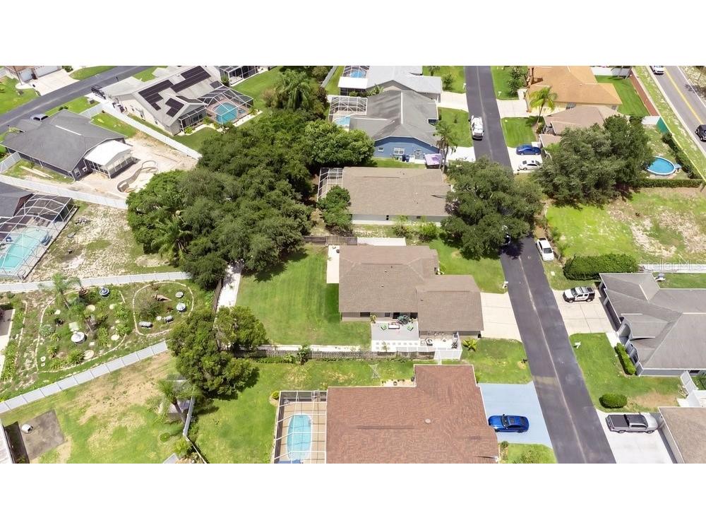 10551 Magrath Lane New Port Richey FL 34654 W7887776 image38