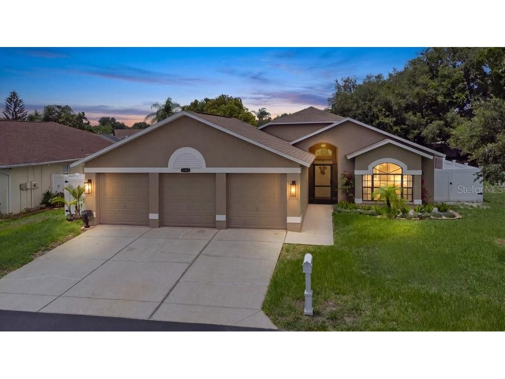 10551 Magrath Lane New Port Richey FL 34654 W7887776 image39