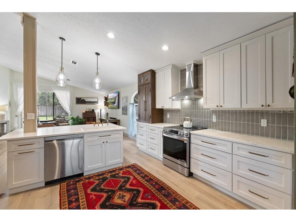 10551 Magrath Lane New Port Richey FL 34654 W7887776 image5